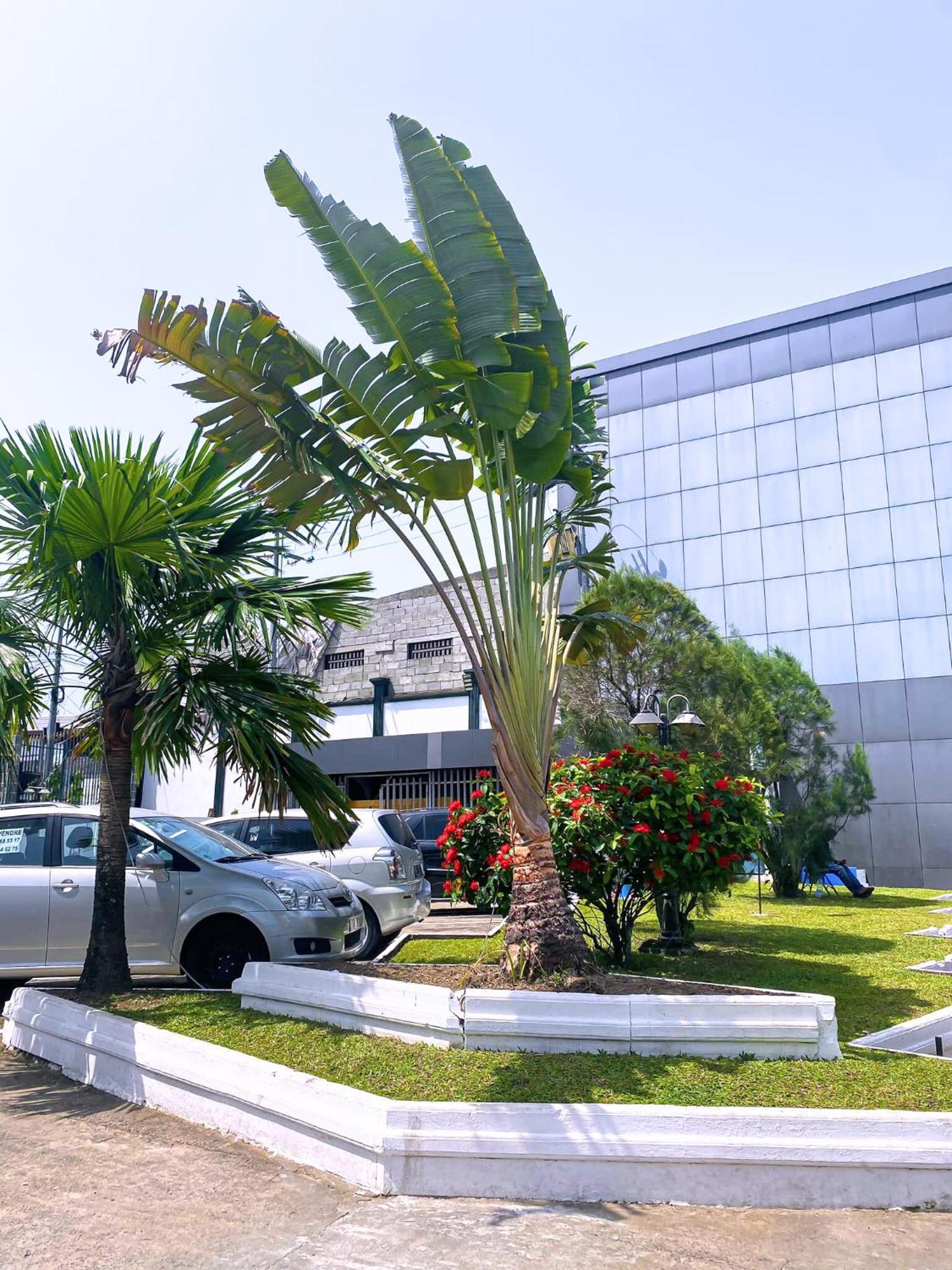Hotel Vallee Des Princes Douala Ngoại thất bức ảnh